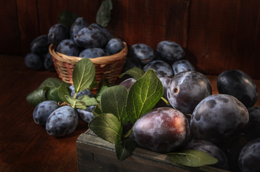 Similar image 21175241