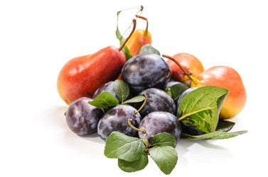 Similar image 21175244