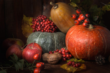 Similar image 21175246