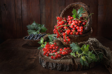 Similar image 21174922