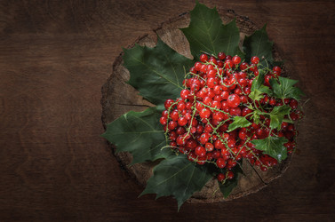 Similar image 21174924