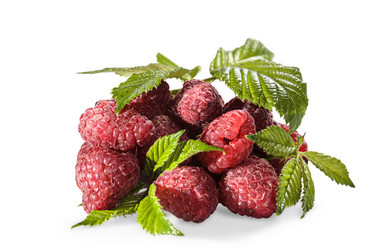 Similar image 21174925