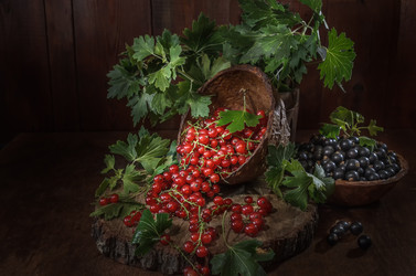 Similar image 21174936