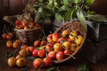 Similar image 21174937