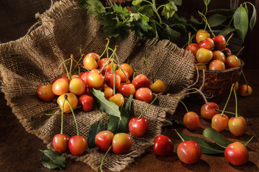 Similar image 21174938