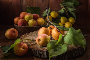 Similar image 21174941