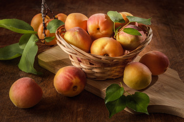 Similar image 21174942