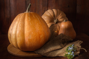 Similar image 21175115