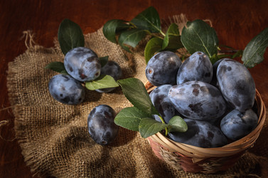 Similar image 21175119