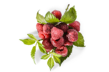 Similar image 21175247