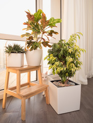 Similar image 21171728