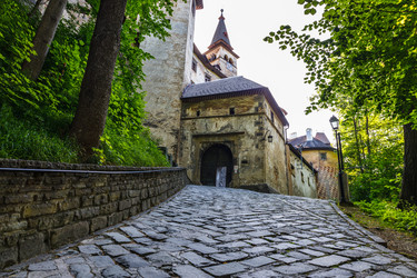 Similar image 21178832