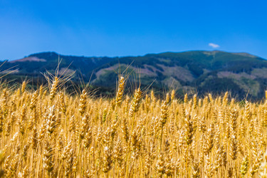 Similar image 21178834