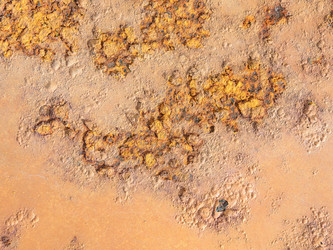 Similar image 21174476