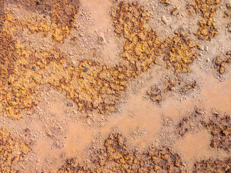 Similar image 21171742