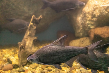 Similar image 21178038