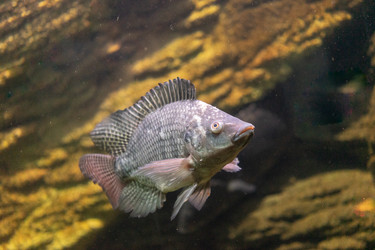 Similar image 21174386