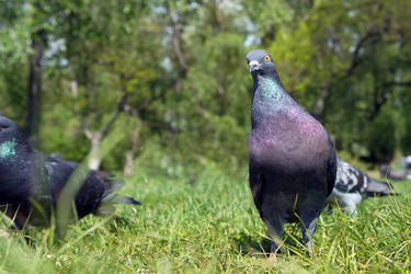 Similar image 21178050