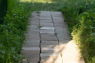 Similar image 21178053