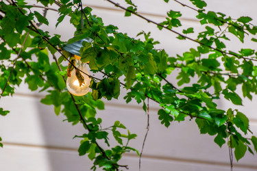 Similar image 21174387