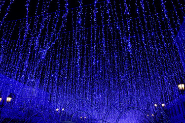 Similar image 21174388