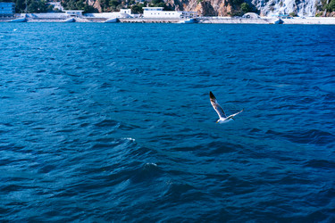 Similar image 21177742