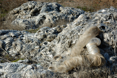 Similar image 21175282