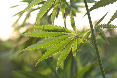 Similar image 21197157