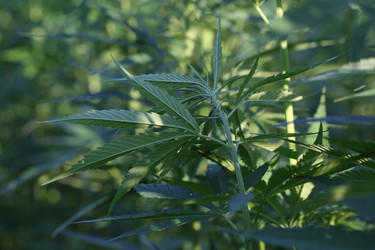 Similar image 21197158