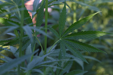 Similar image 21197160