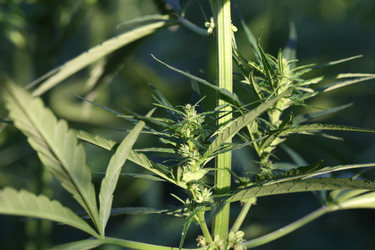 Similar image 21197161