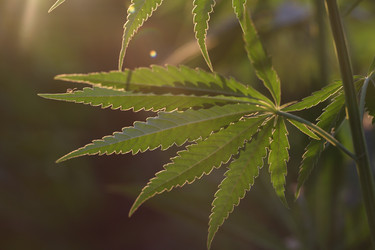 Similar image 21197162