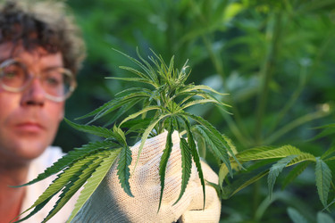 Similar image 21192216