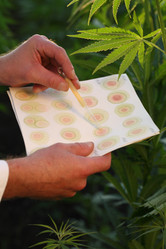 Similar image 21192217