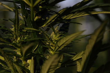 Similar image 21197167