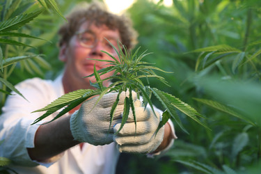 Similar image 21192218