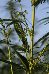 Similar image 21197168