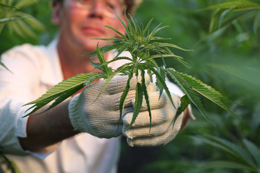 Similar image 21192219