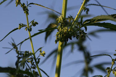 Similar image 21197169