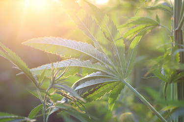 Similar image 21197170