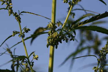 Similar image 21197171