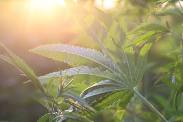 Similar image 21197172