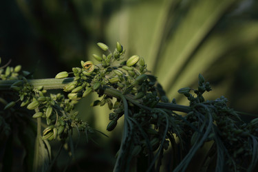 Similar image 21197173