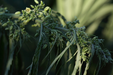 Similar image 21197174