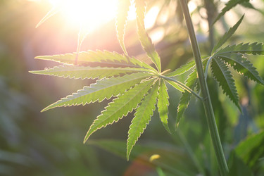 Similar image 21197175