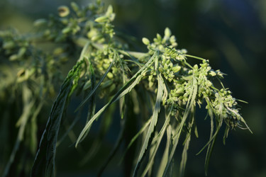 Similar image 21197176