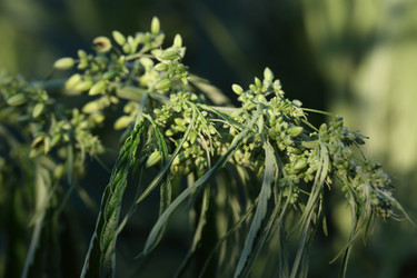 Similar image 21197177