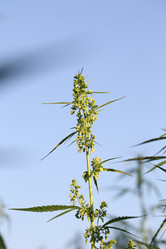 Similar image 21197179