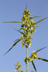 Similar image 21197180