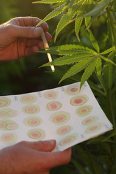 Similar image 21192223